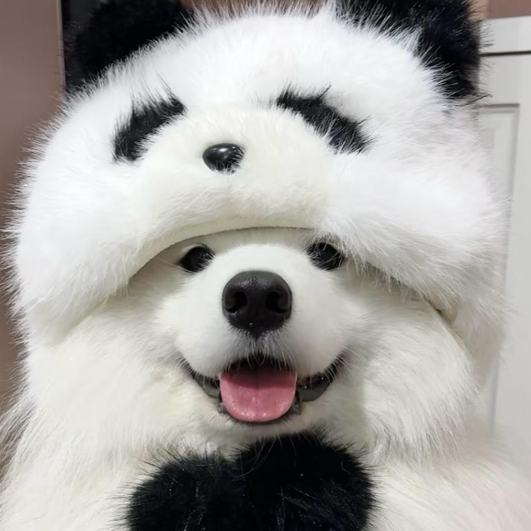 小杰克666
