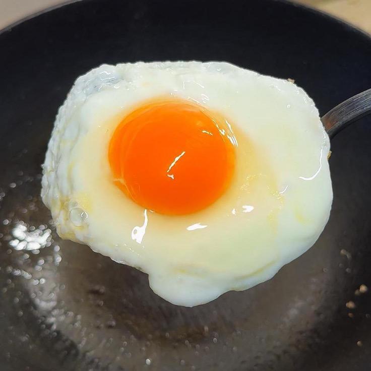 忧郁的煎蛋