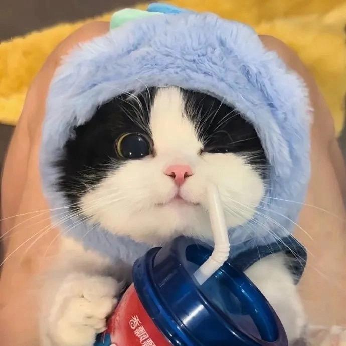 ︶ㄣ牧尘ヴ╮