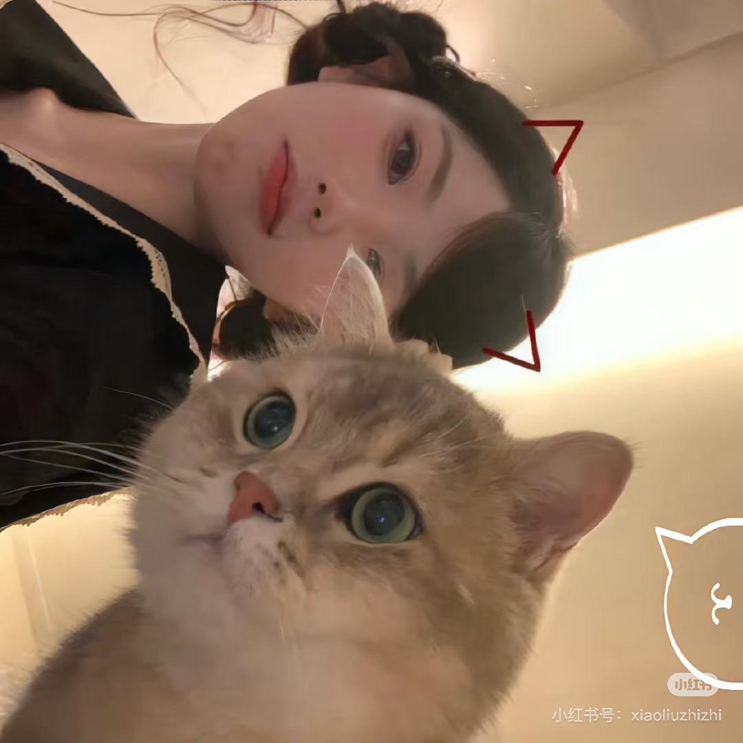 奴奴