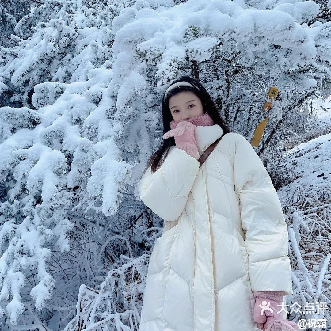 任飞雪