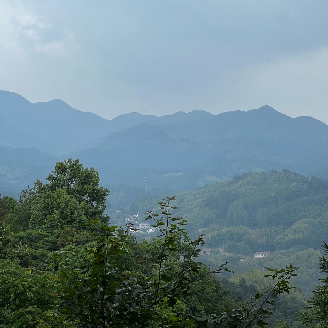 归居山中