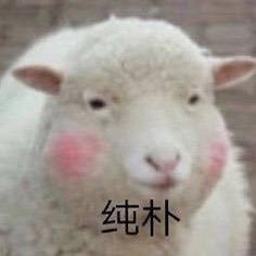 一两星【播客主播灯光】