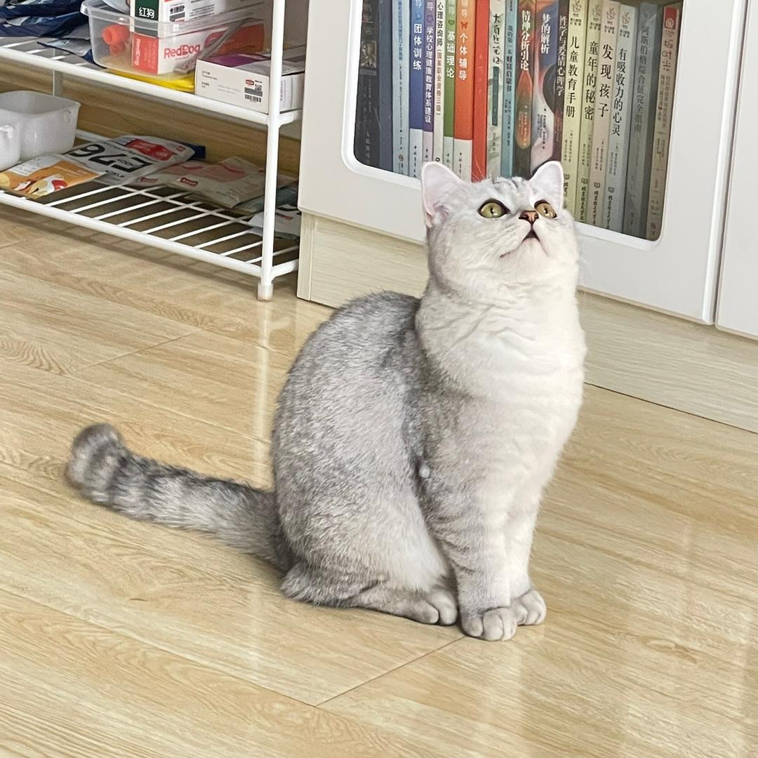 爱云姐姐
