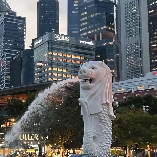 A阿龙🇸🇬🏨࿐（新加坡）