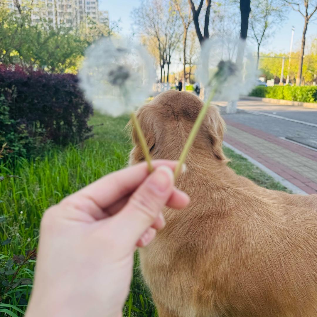 安稳🔥