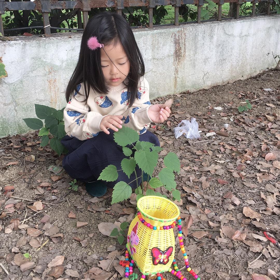 金朵比的日常（四年级）
