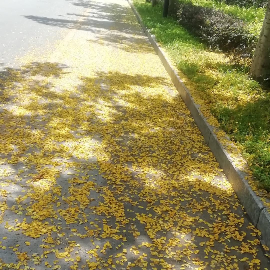 雅迪(梓兴路店)专用号