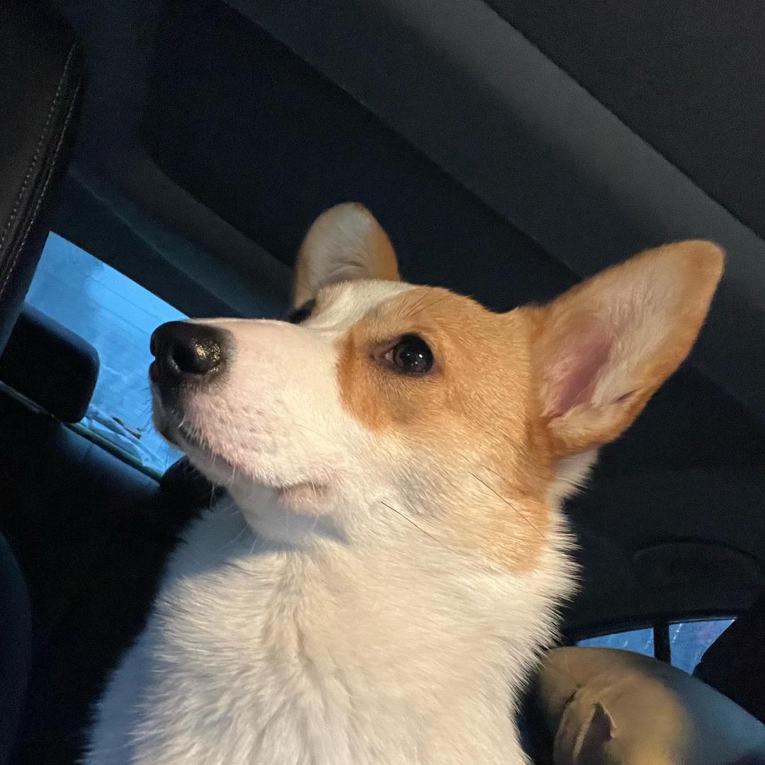 He.