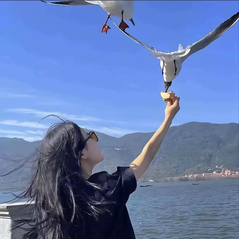 画美人。