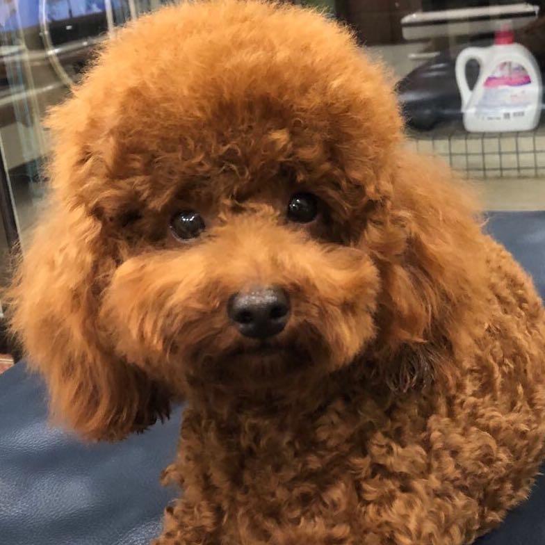 万事如意