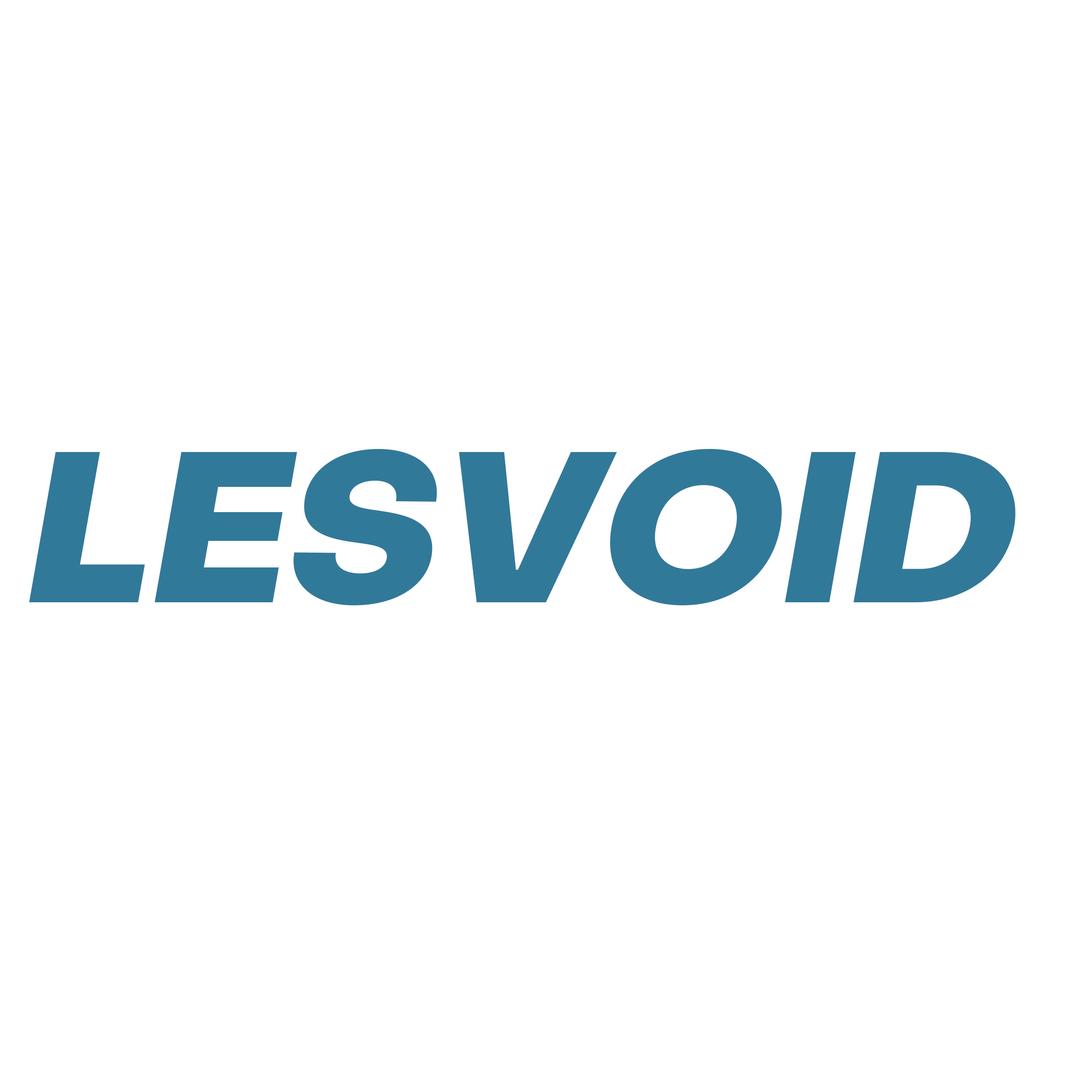 LESVOID STUDIO