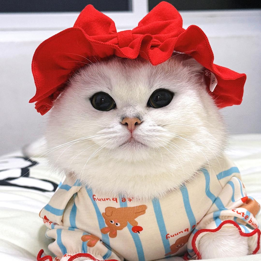 开心今天开心吗