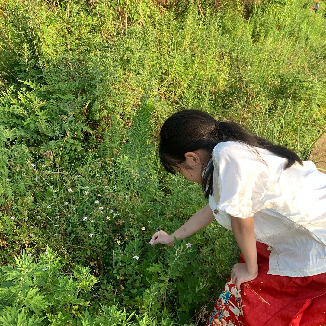 云歌
