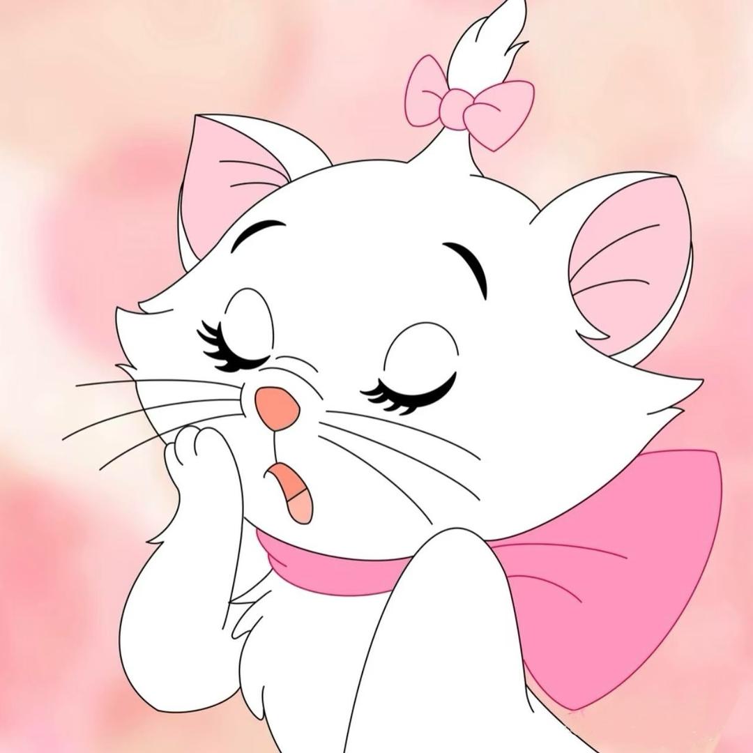 大喵🐱