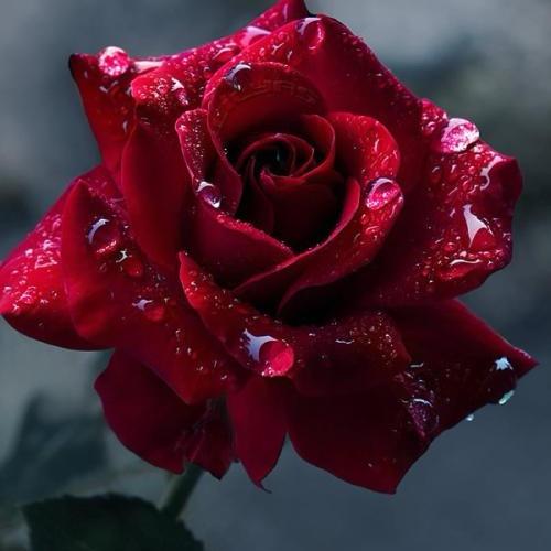 如一٩(๑ơలơ)۶♡