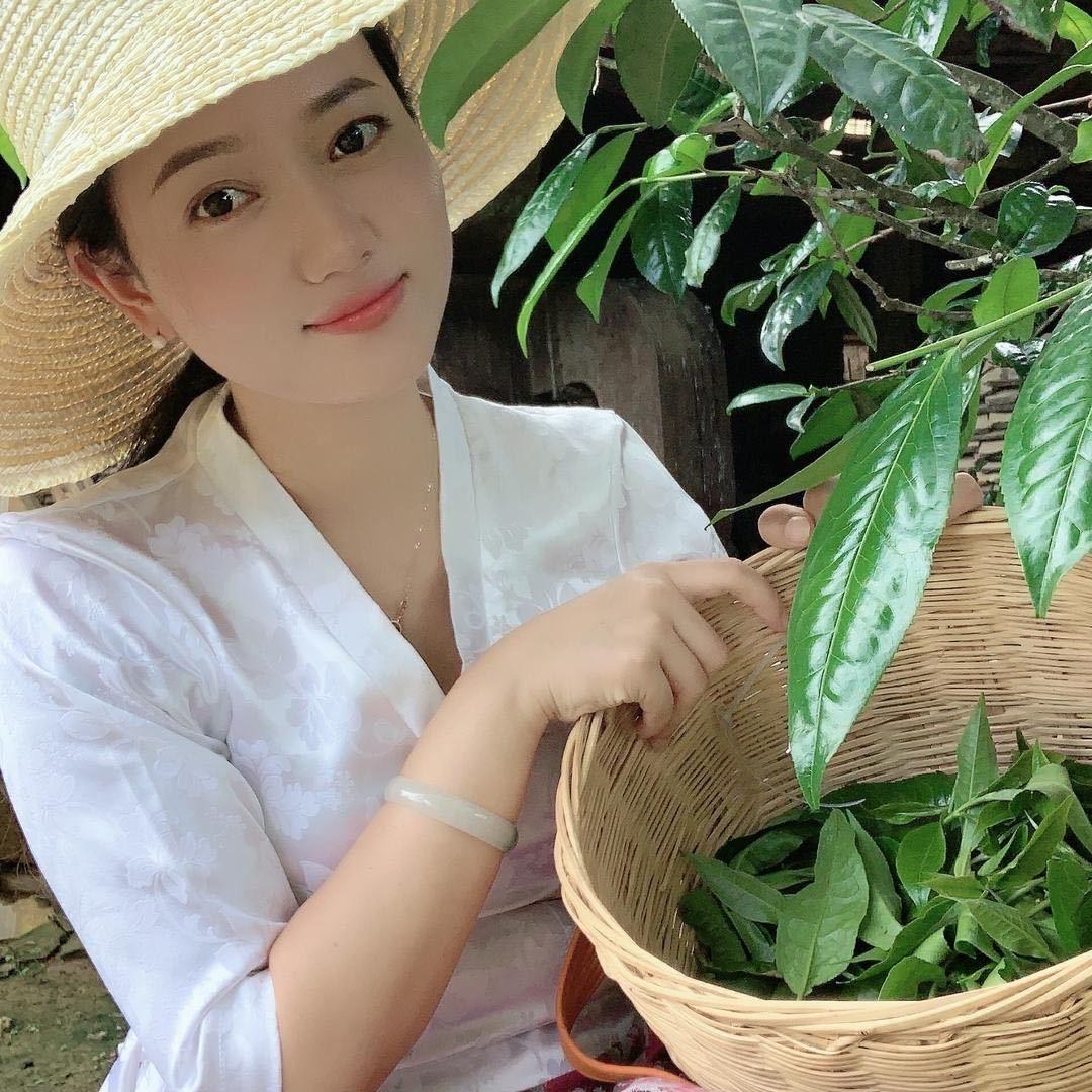 忙肺李姑娘的茶 精选好茶