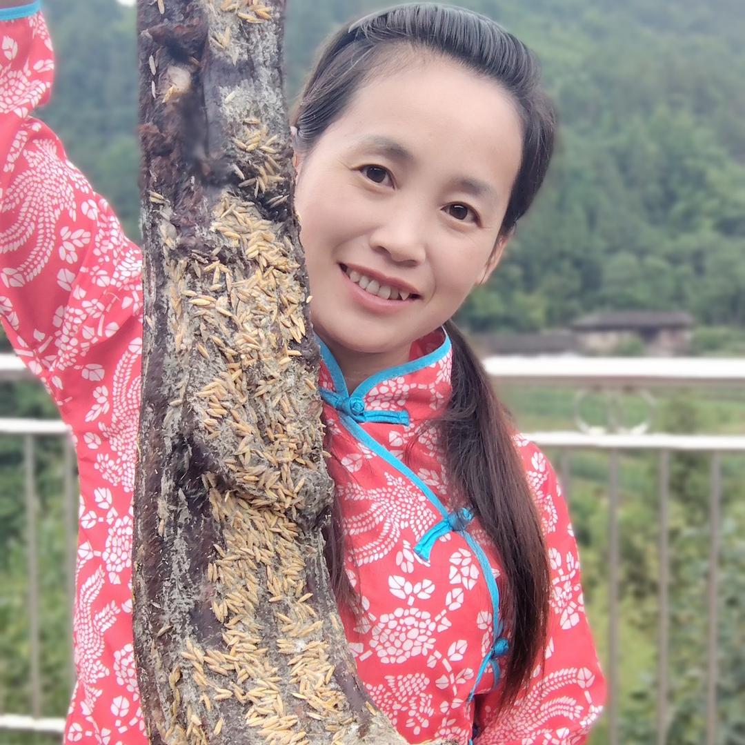 幺妹阿珍
