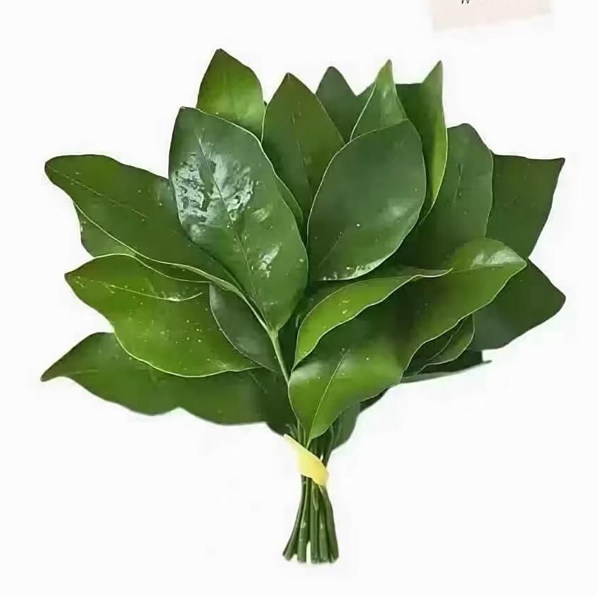 婧婧