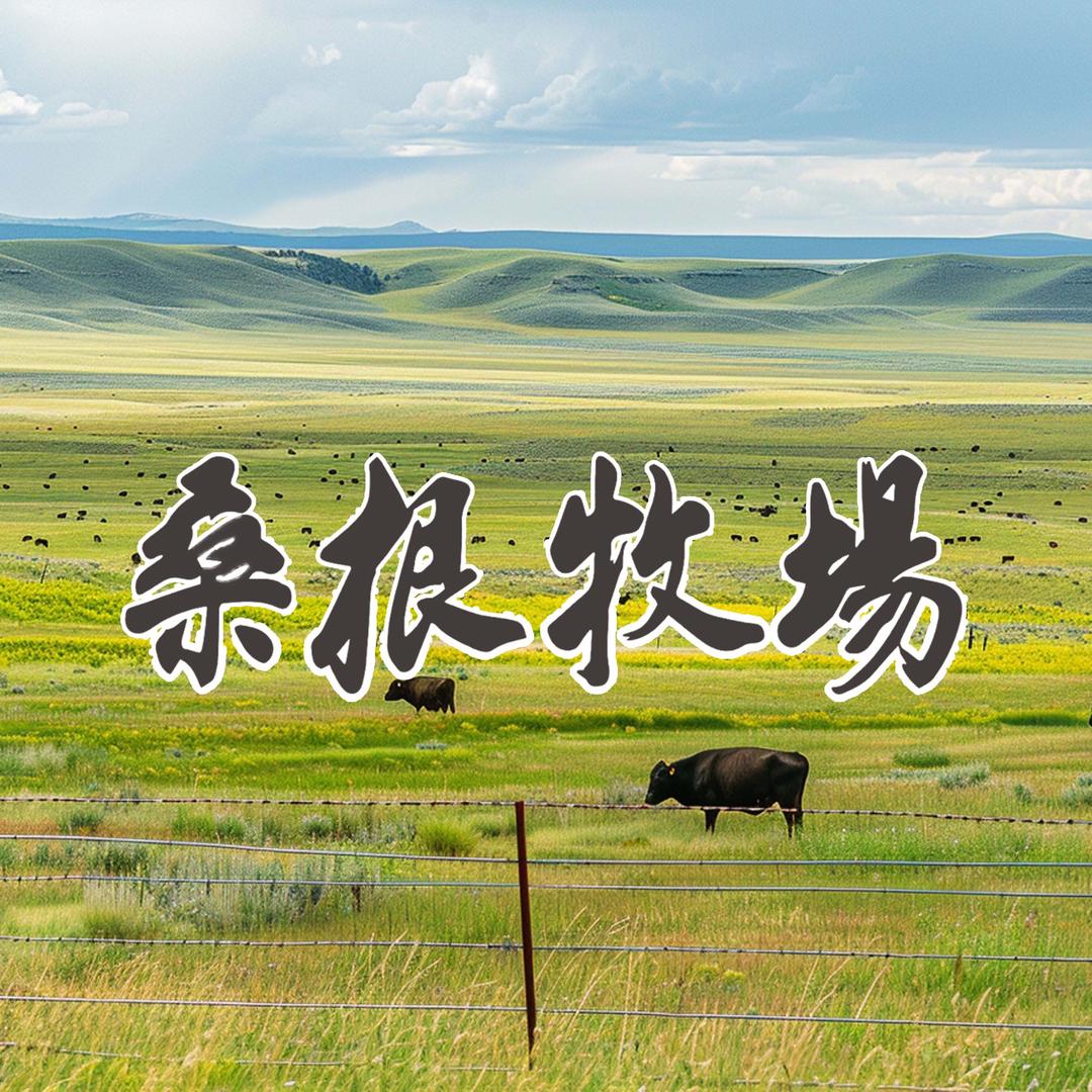 桑根牧场冻品批发