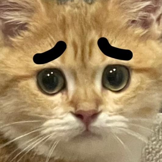 汤圆大王ᴱˢ🌙