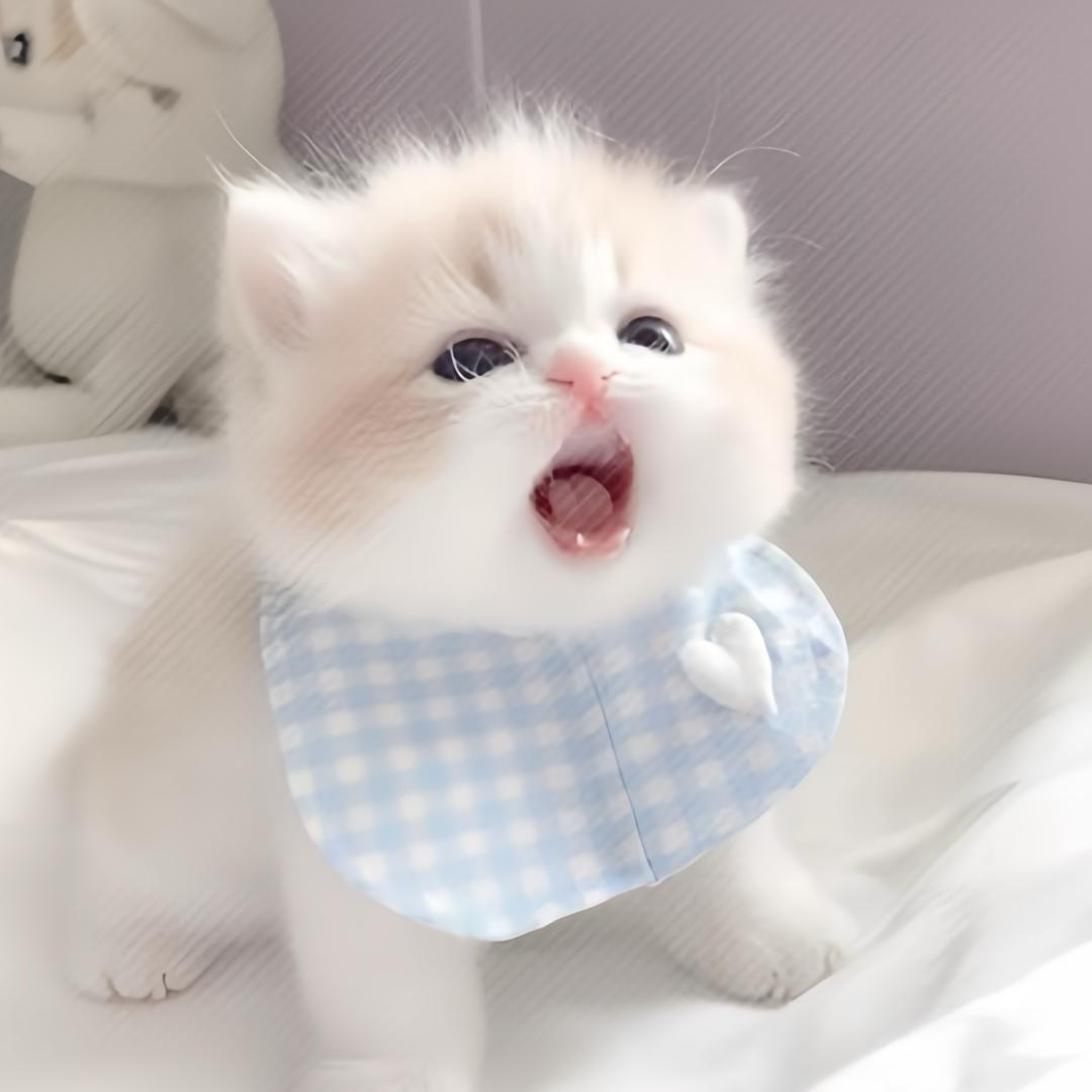 小芙.