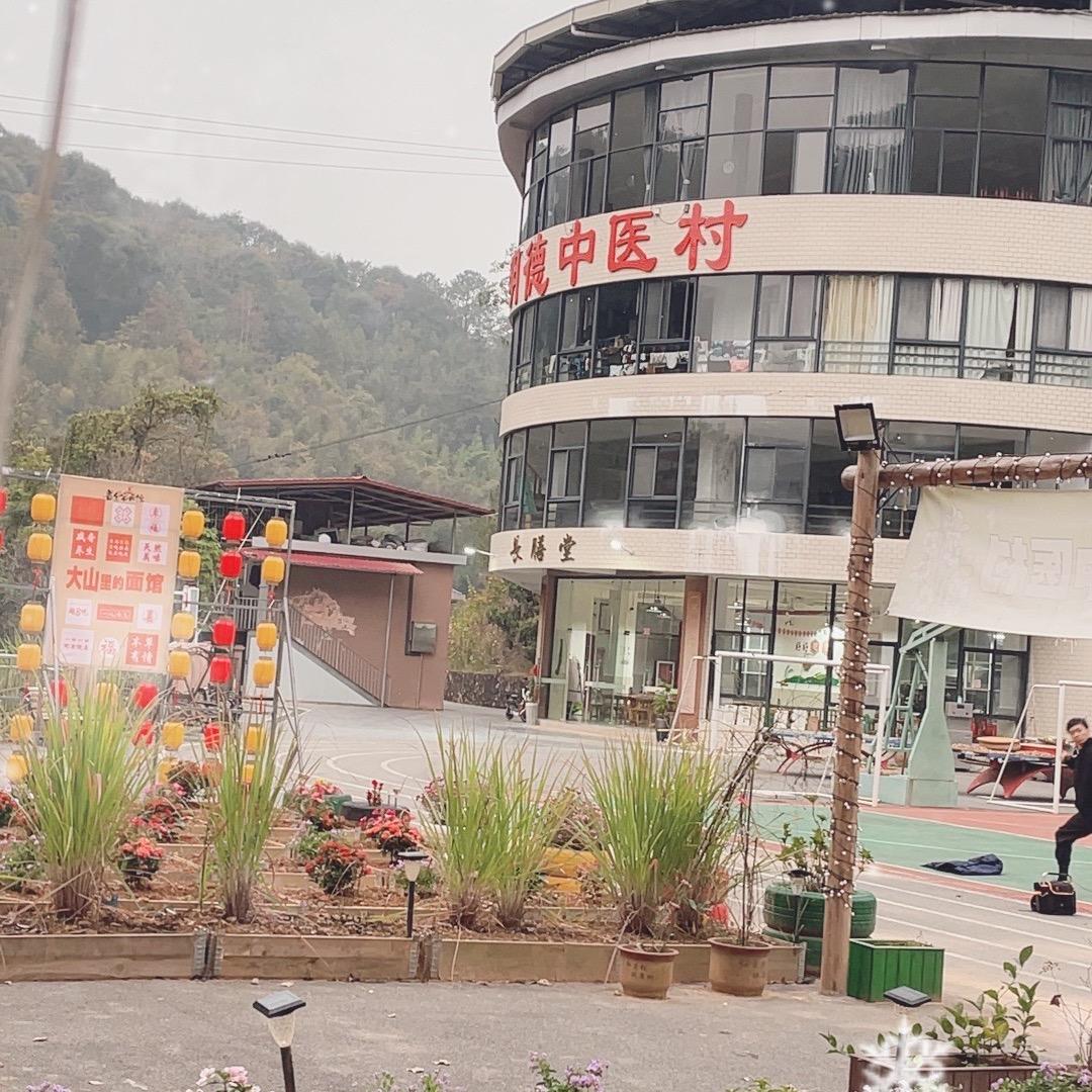 明德中医村直播号