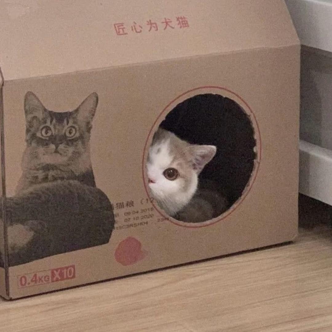 断舍离