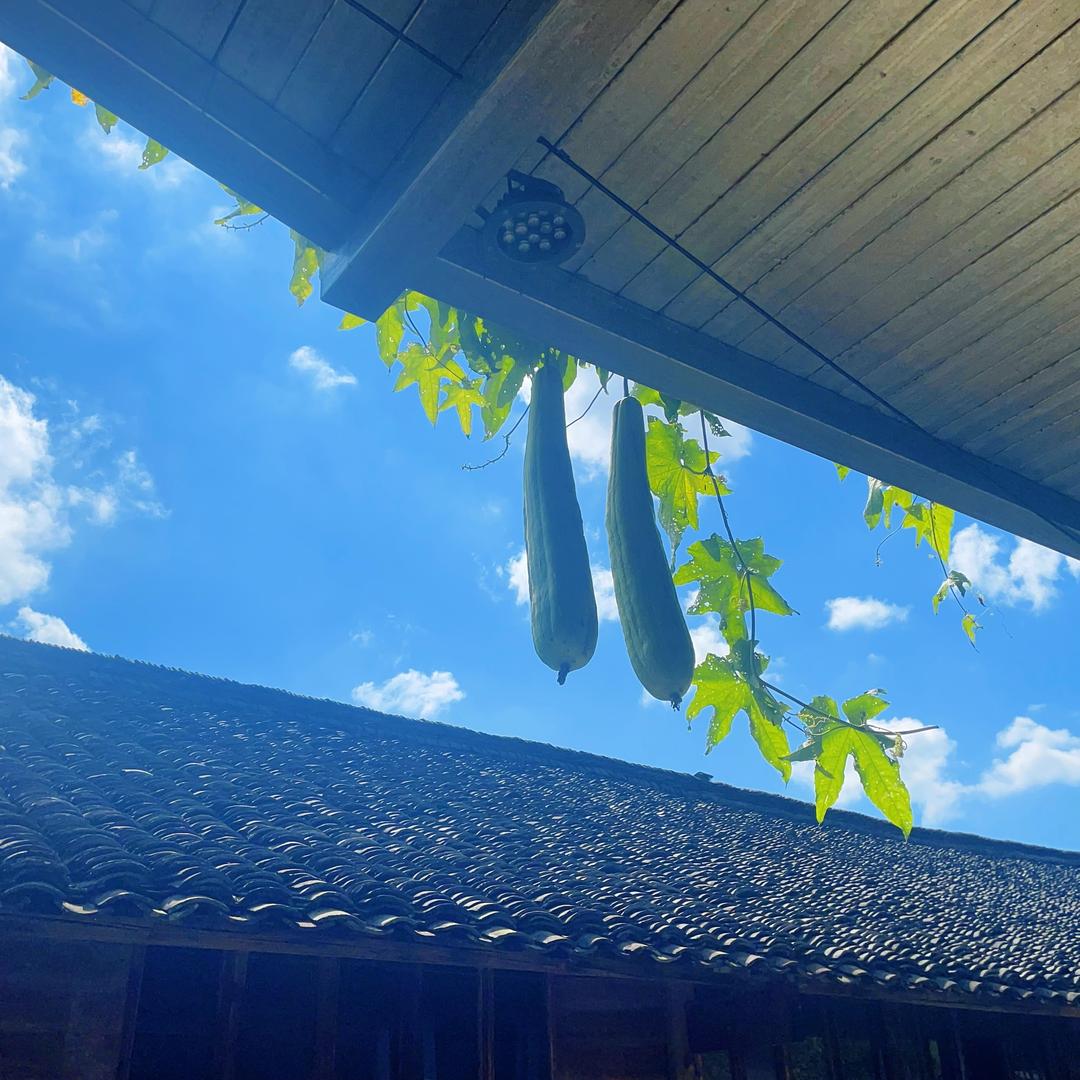 都挺好