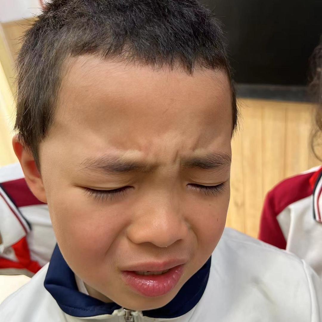 肥肥爱吃牛肉丸