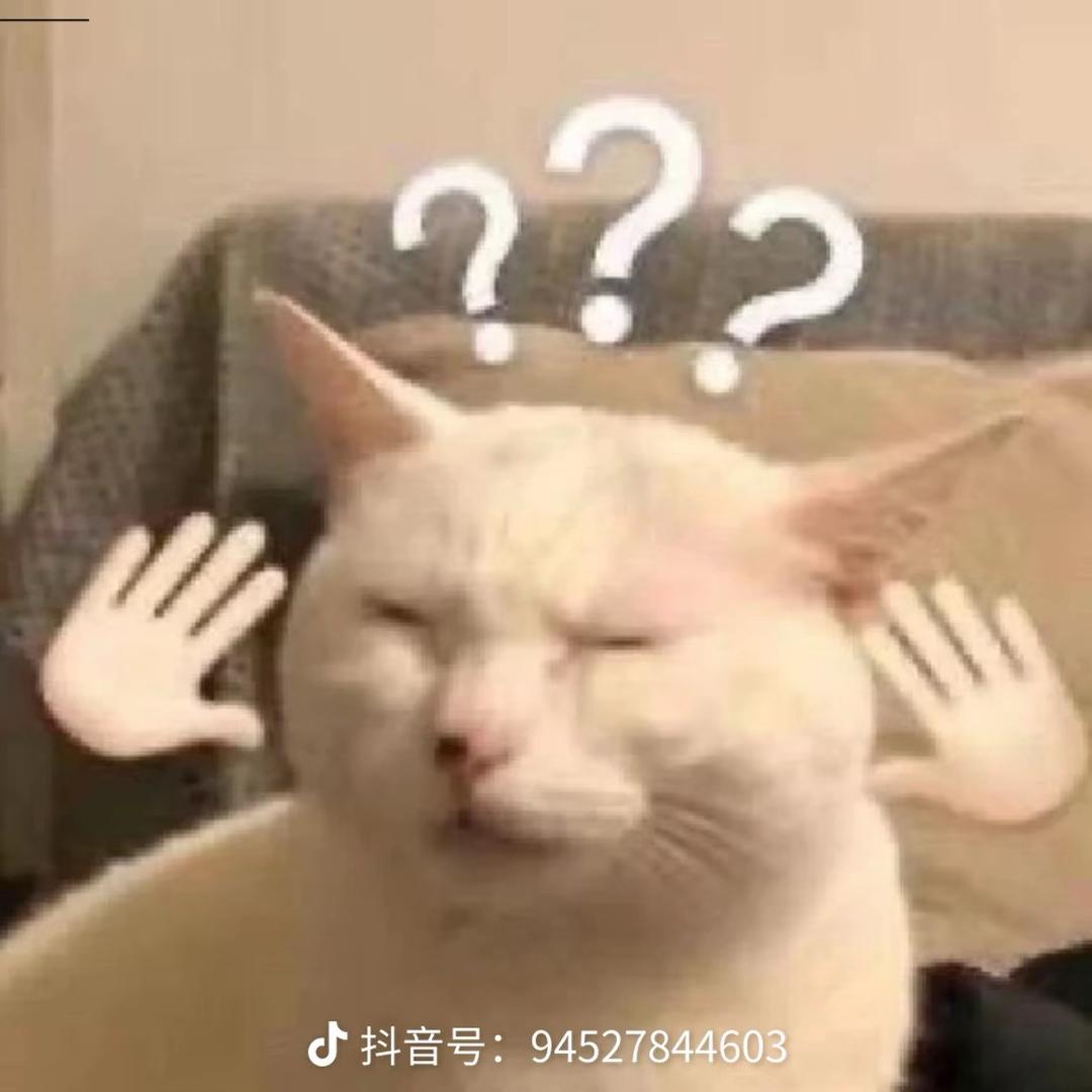 刘油果🥑