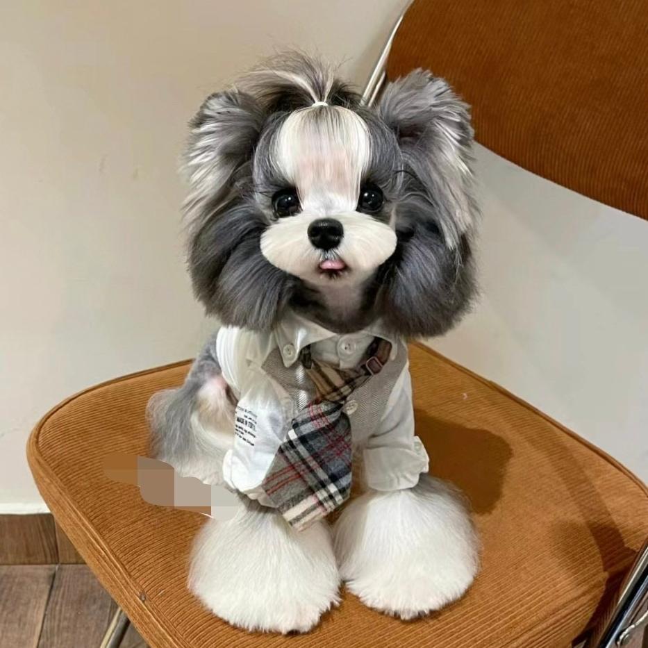 蔡家坡一号萌宠宠物店