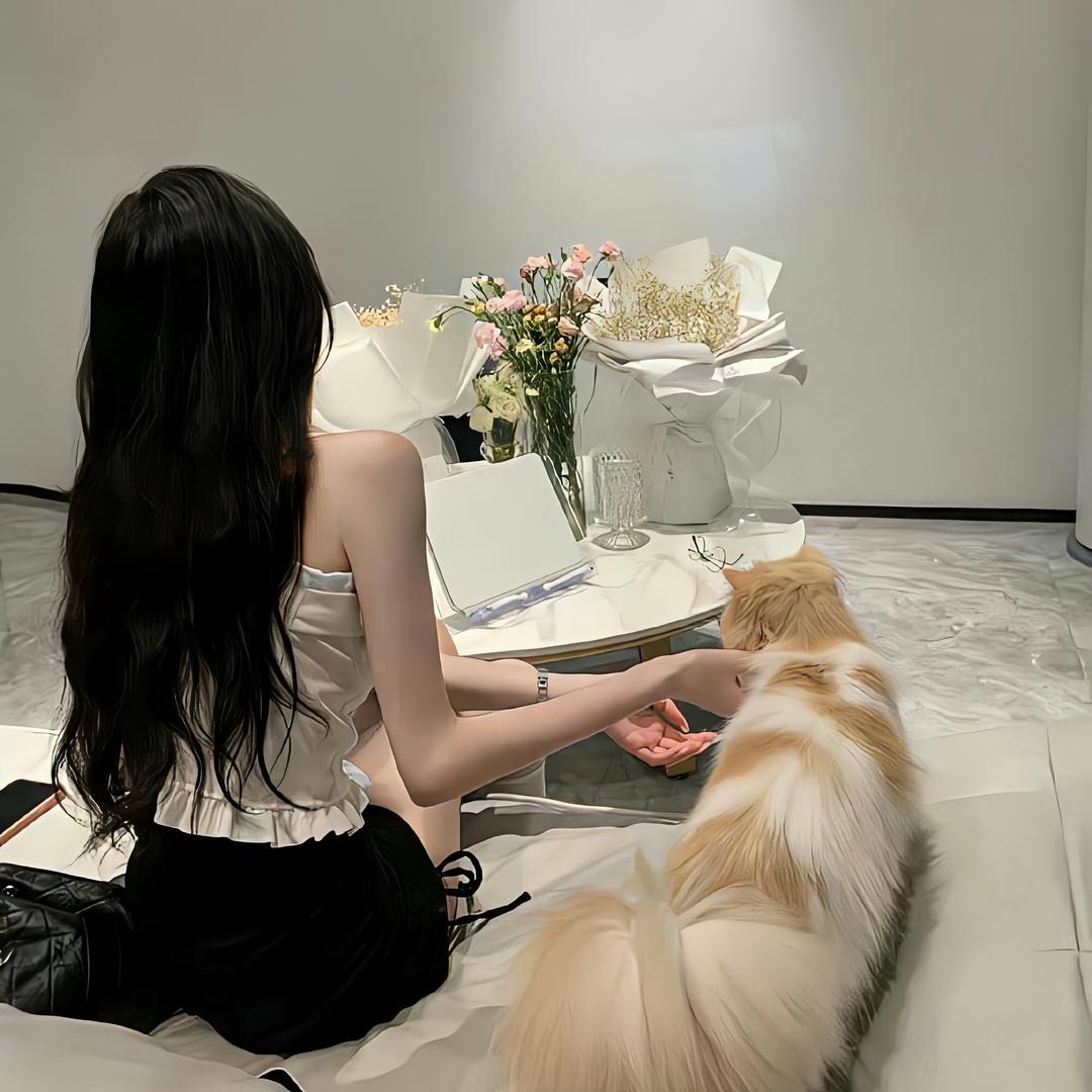 芝士莉莉安🍰