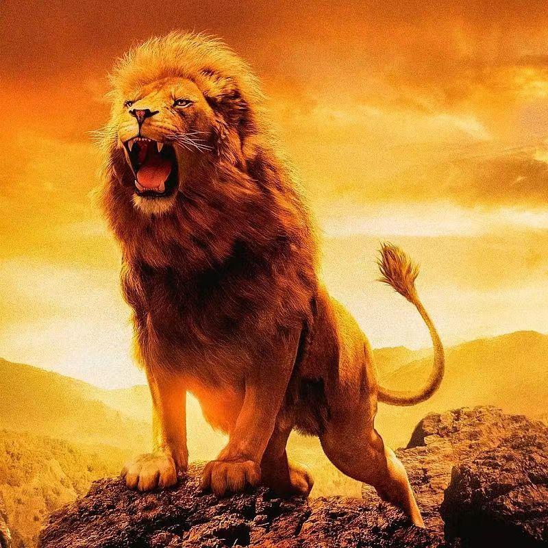 文氏黄角湾种植园