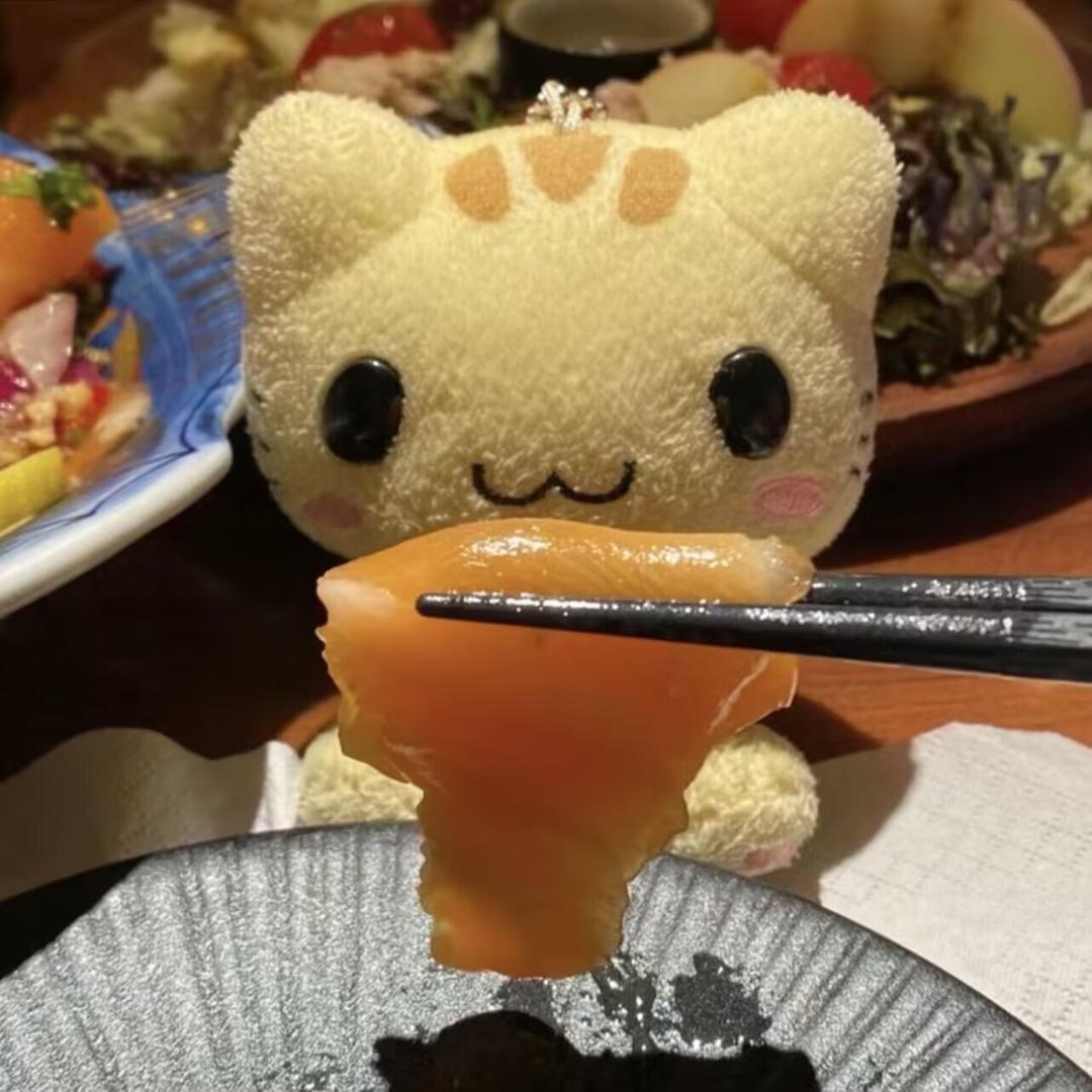 失眠吐司