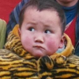 搞不败💥