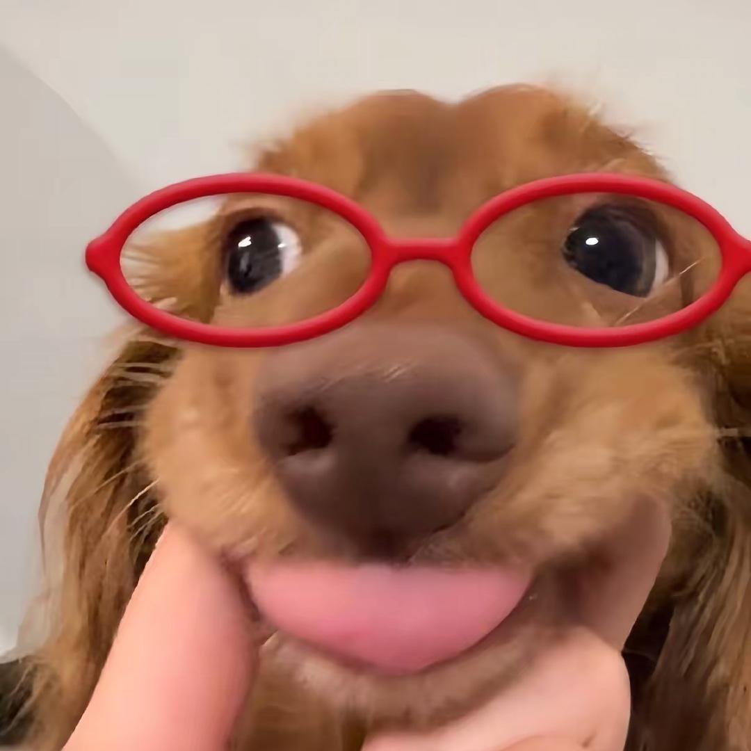 小兑/•᷅•᷄\୭