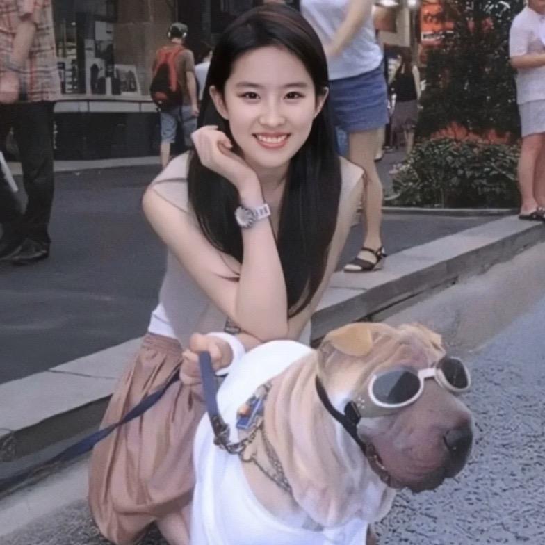 _猪ti