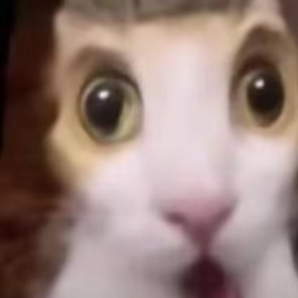 青菜洲（三角洲跑刀）