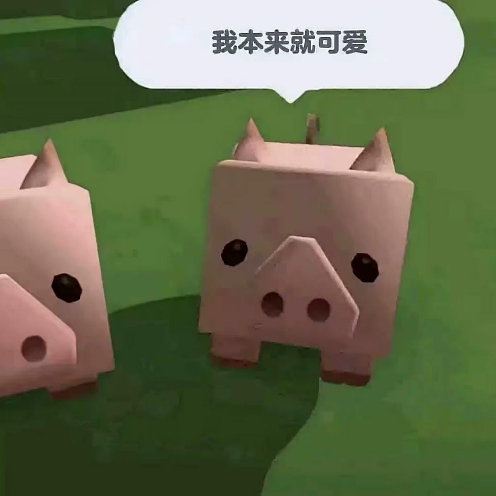 重庆下小雨