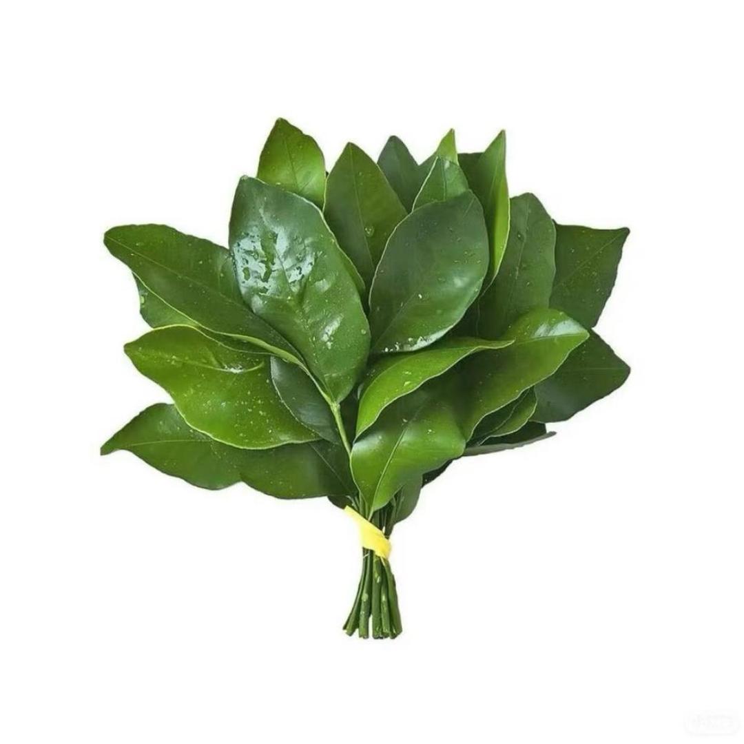 嘴比拳头硬