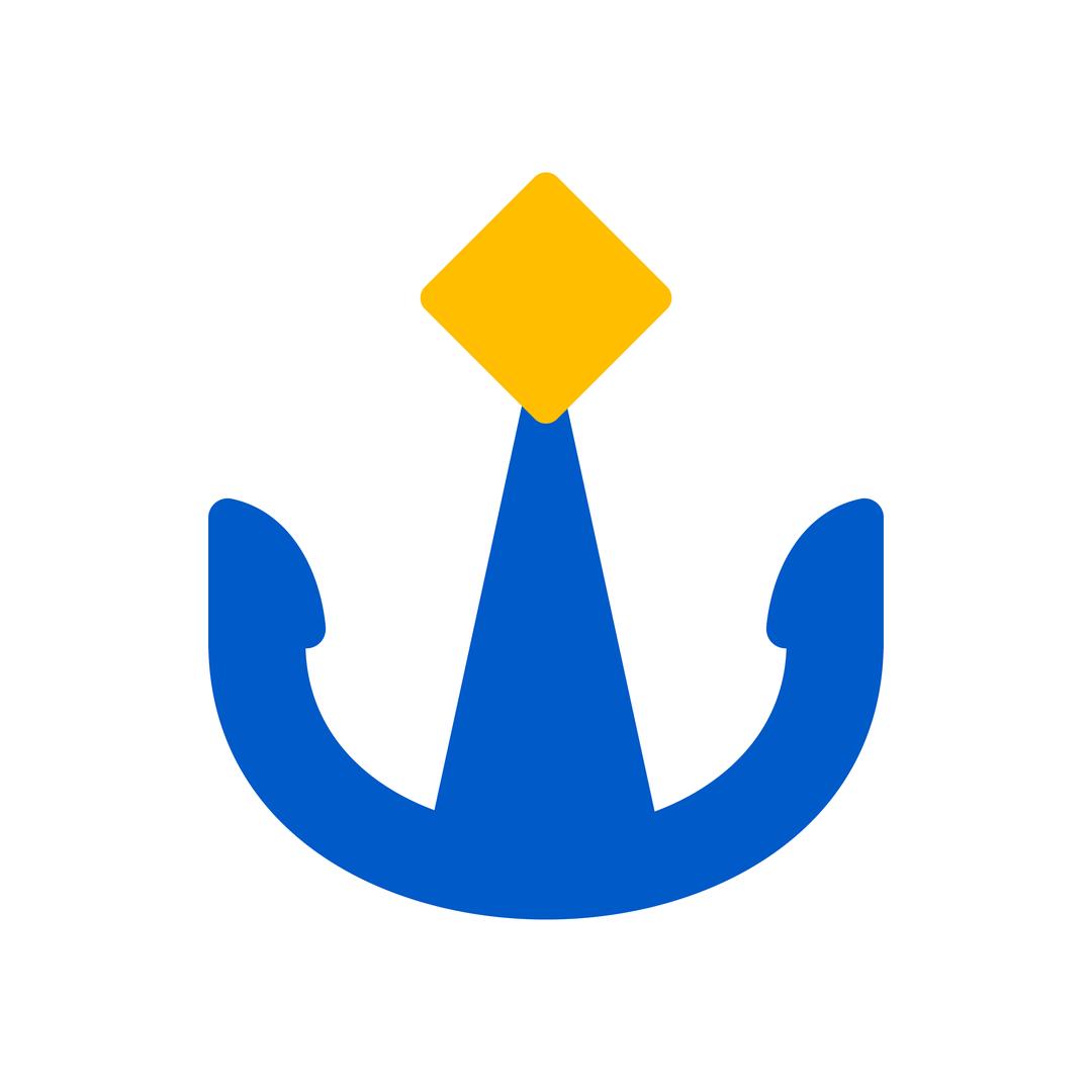 船旺船旺