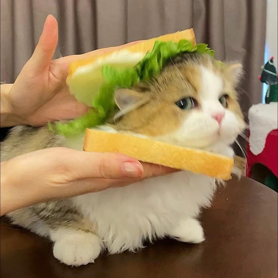 马里奥跳跃（涅槃重生篇）