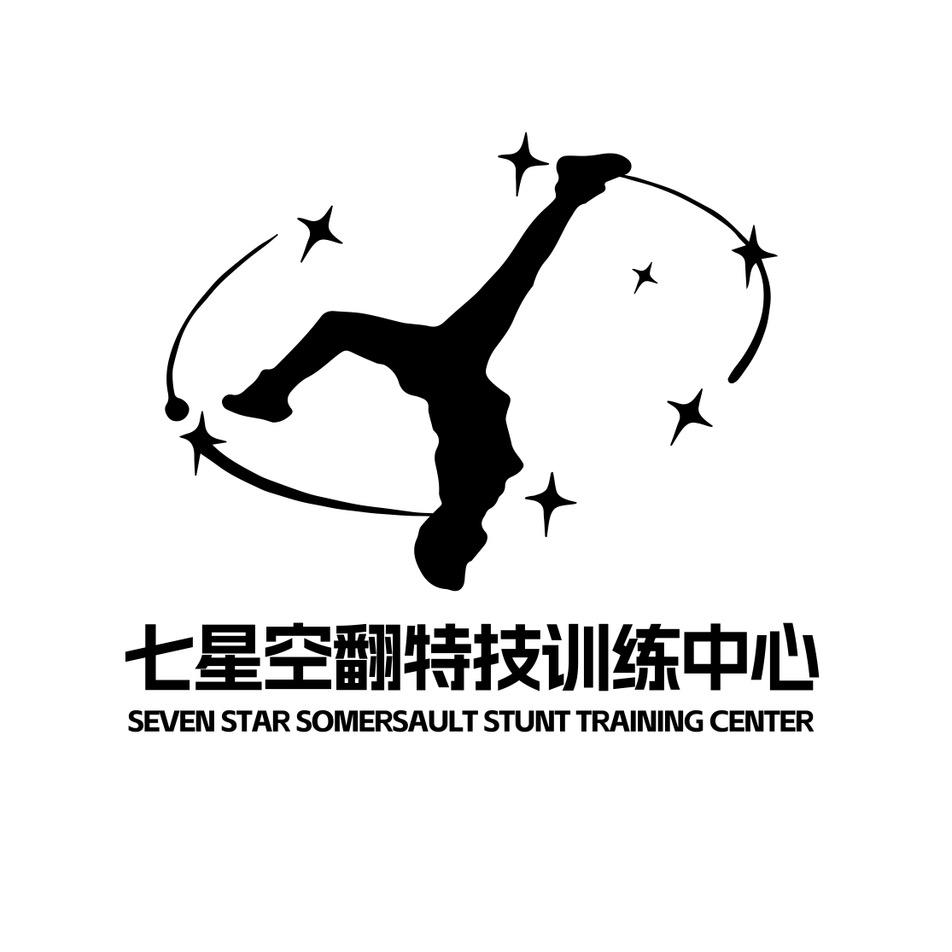 七星空翻特技（原晋武道）
