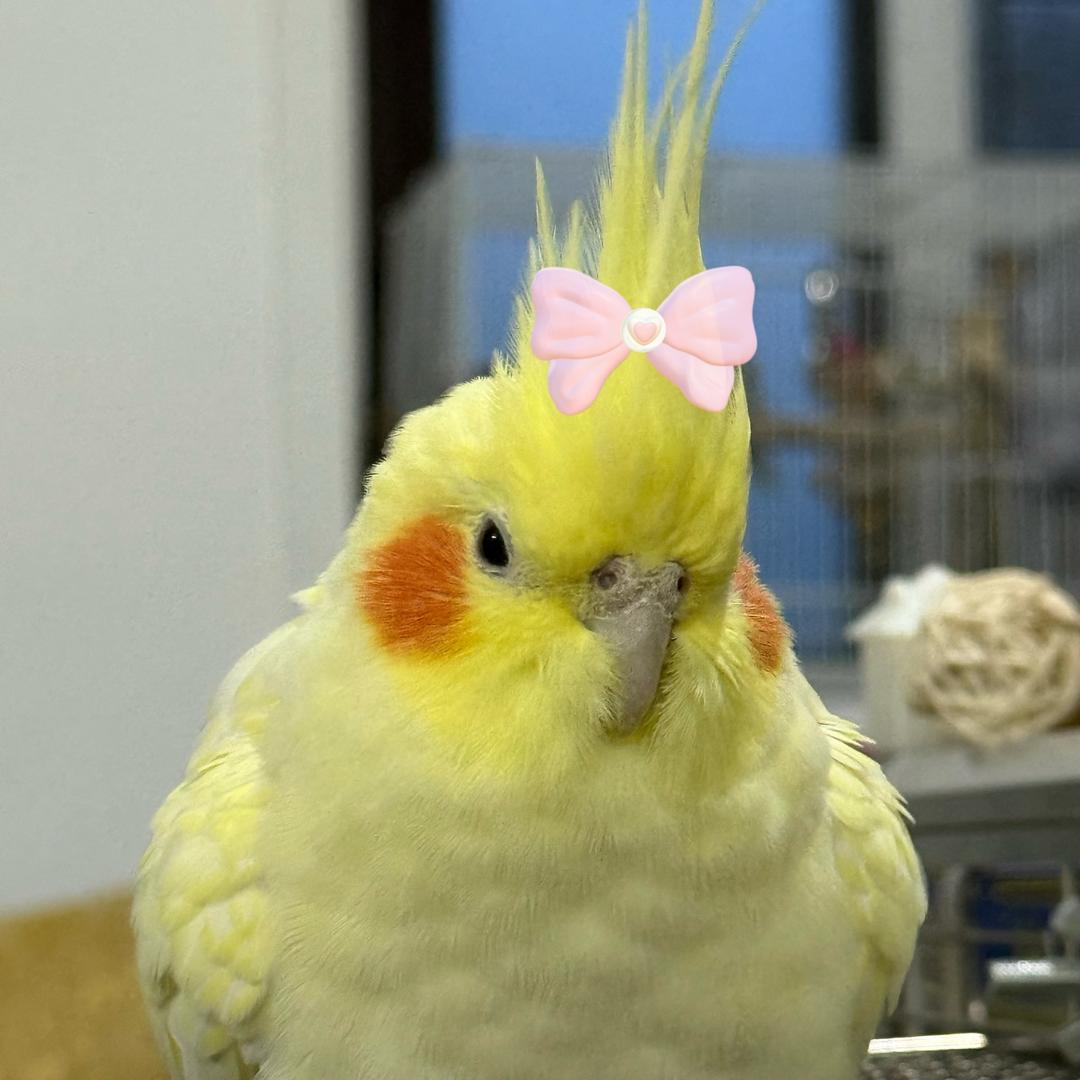 遥遥.