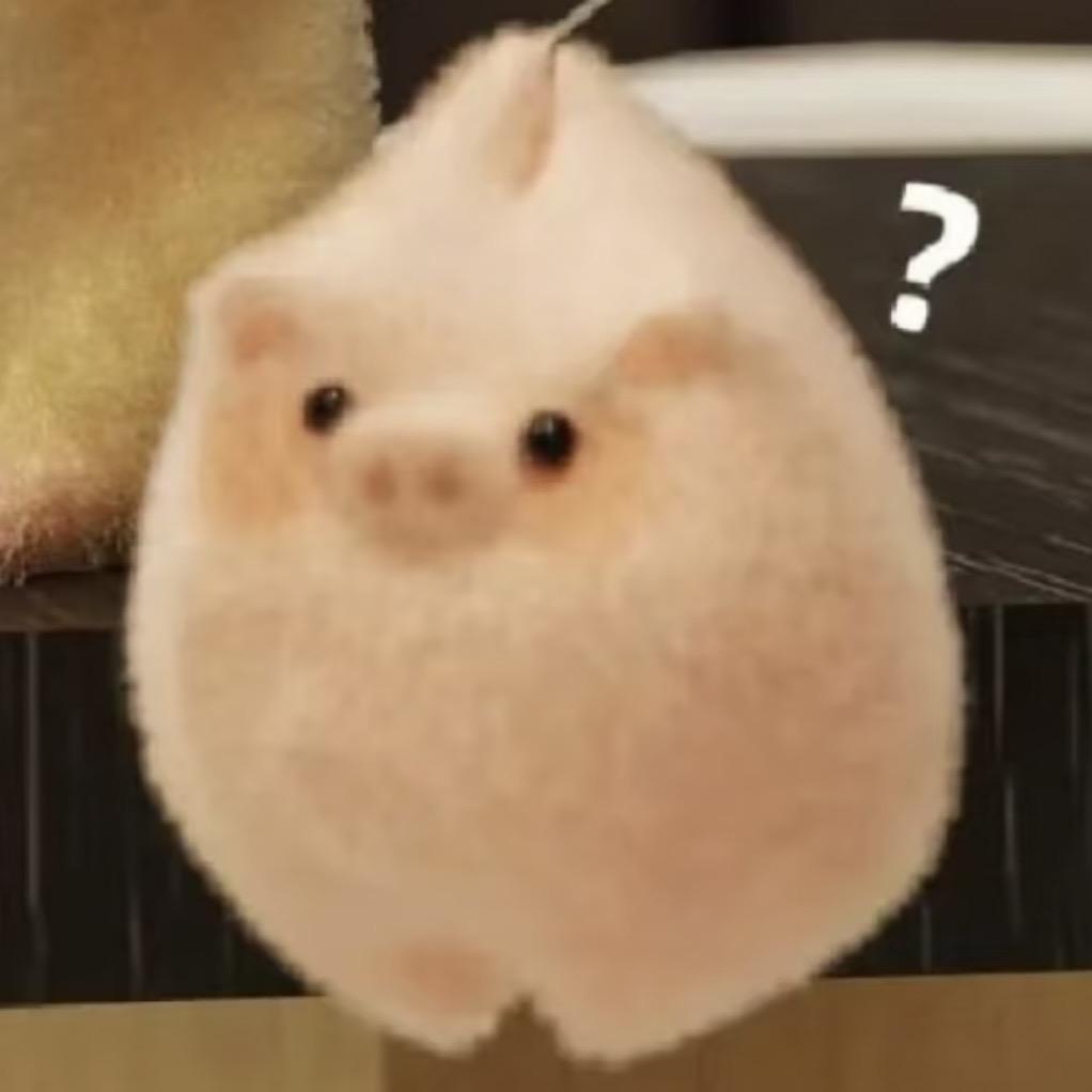张饱饱耶