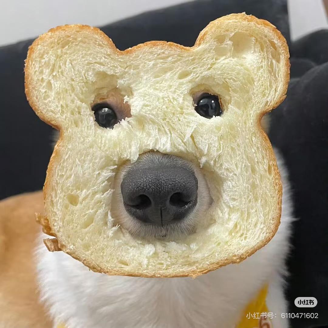 慌慌章章