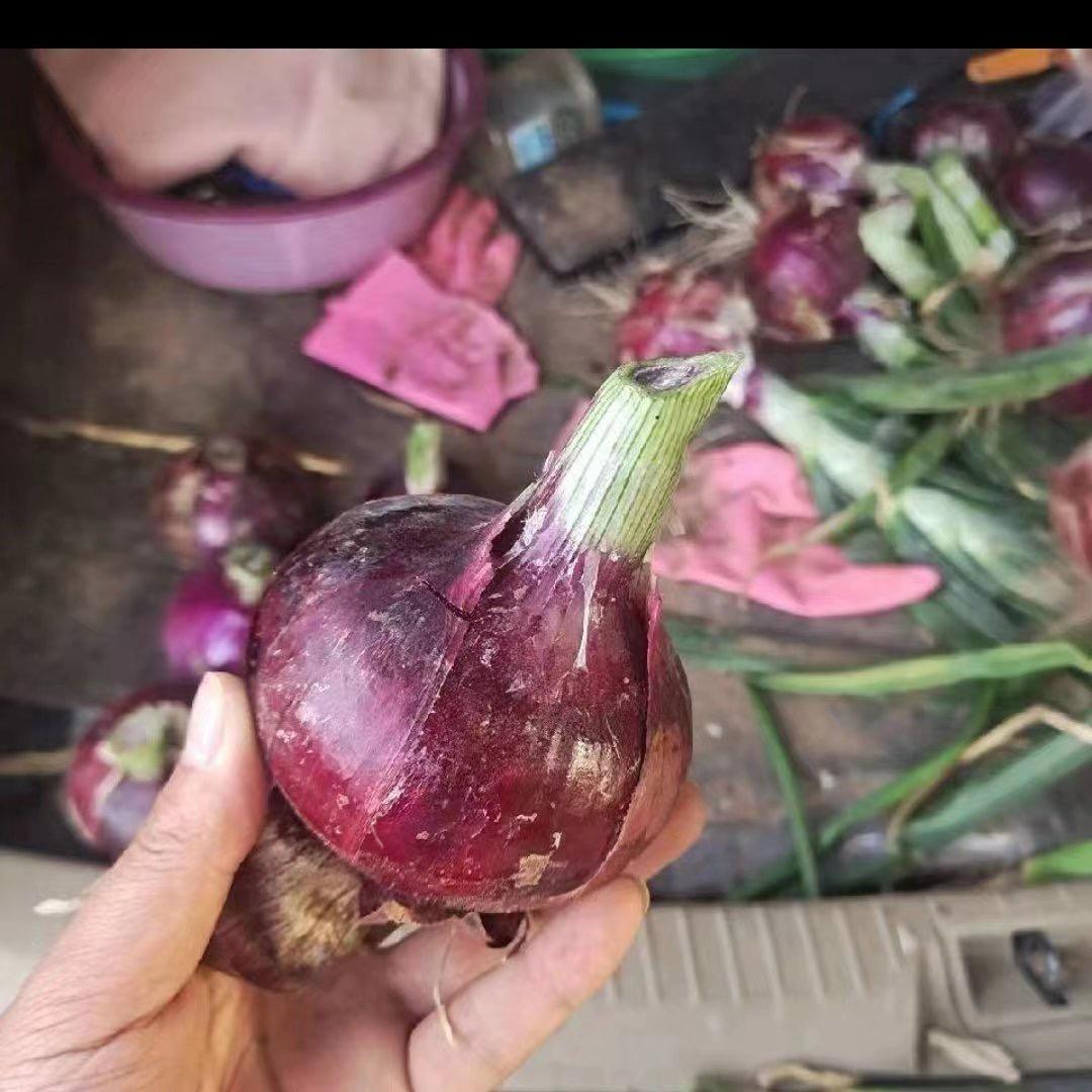 通许青禾果蔬代办团队