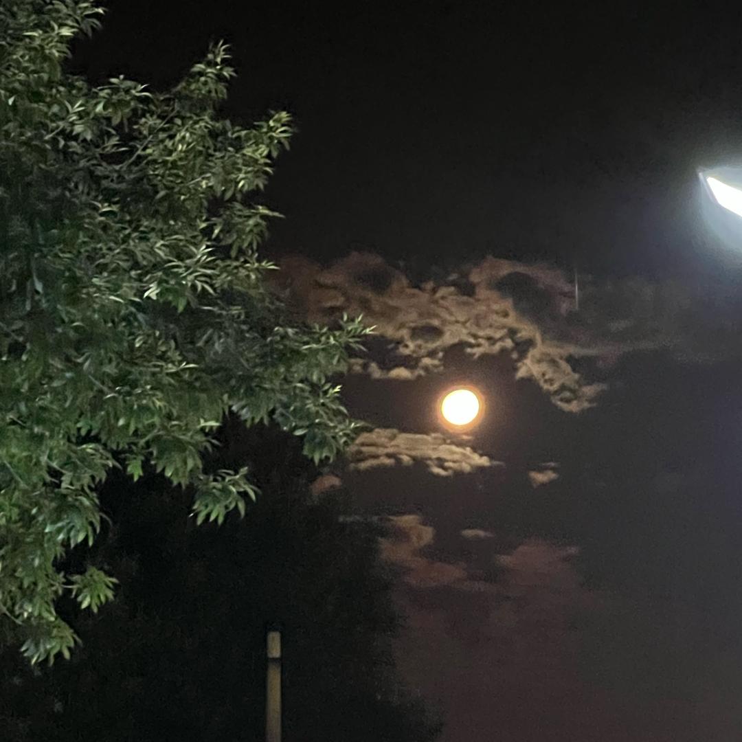 都似闲白