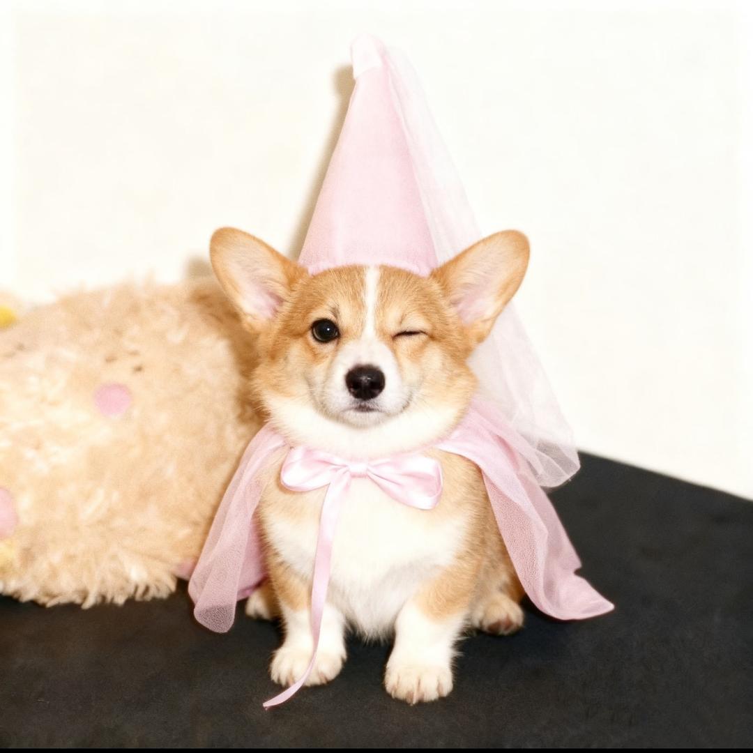 东方树叶茉莉花